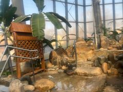 -瑞阁温泉酒店温泉中心