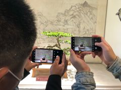 -盆景园(扬州大运河文化旅游度假区)