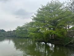 -海珠湖公园