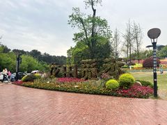 -铁山坪森林公园