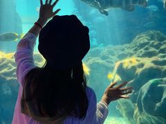 -海合安武汉极地海洋公园