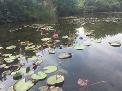 -白马涧龙池景区