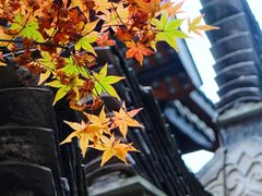 -鱼桥巷·美学川菜