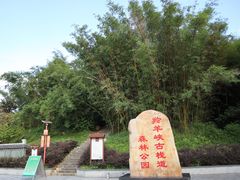 -羚羊峡古栈道森林公园