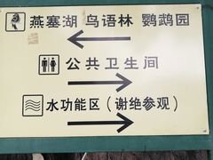 -燕塞湖鸟语林景区