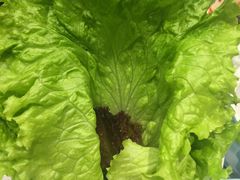 -韩时烤肉(丰科万达广场店)