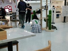 大堂-喵园·猫主题咖啡厅·撸猫·猫咖(国贸店)