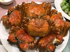 -王宝和酒家(黄浦店)