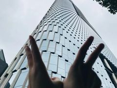 -紫峰大厦
