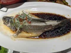 -大鸭梨烤鸭·北京菜(南小街/南苑店)