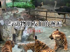 -南昌动物园