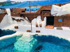 -秦皇岛乐岛海洋王国