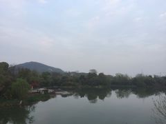 -桃花岛景观公园