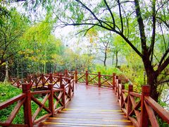 -明月山风景名胜区