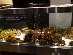 -RED LOBSTER(多伦多DT店)