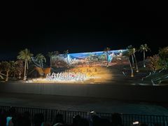 -三亚红色娘子军演艺公园景区
