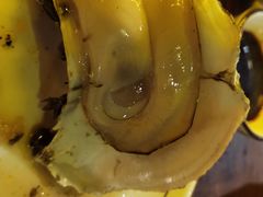 -土蚝·高压锅生蚝(百姓美食街店)