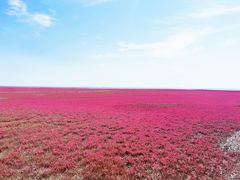 -红海滩国家风景廊道