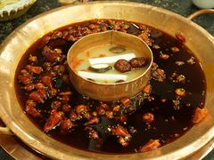 -老码头火锅(玉林店)