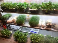 -鲜货俚鲜火锅(青果路店)