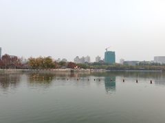 -莲花池公园