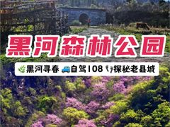 -黑河国家森林公园