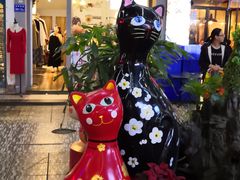 -猫咪博物馆(顶澳仔猫街店)