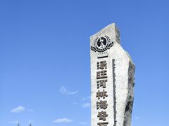 -汤旺河林海奇石景区