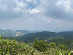 -锄山村