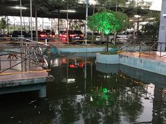 -东江湖游水三文鱼美食城