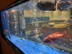 -新荣记(西溪湿地店)