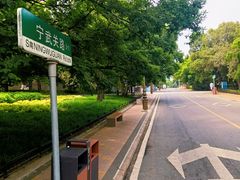 -八大关景区