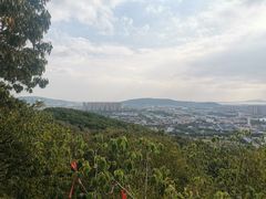 -灵岩山风景区