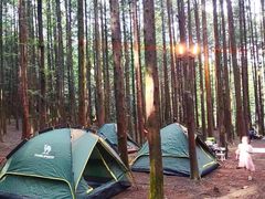 -山王坪喀斯特国家生态公园