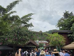 -野象谷景区