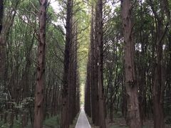 -同里国家湿地公园