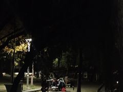 -金砂公园