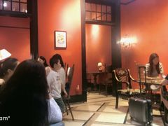 -猫色咖啡·猫咖