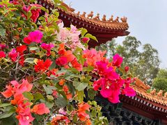 -南沙天后宫景区