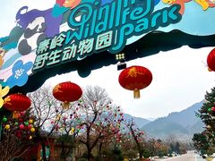 -秦岭欢乐世界