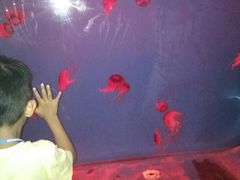 景点-华夏文旅海洋公园