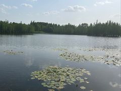 -白鹭湾湿地公园