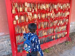 -阳台山自然风景区
