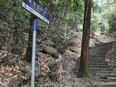 -东莞市大岭山森林公园