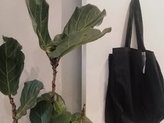 -常识咖啡common sense(春熙路店)