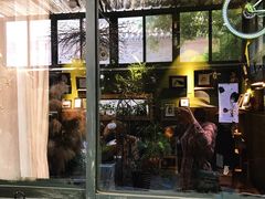 -出走咖啡·面包(宋庄店)