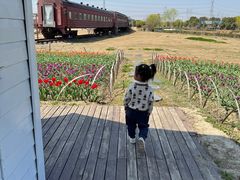 -菊园百果园