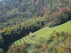 -敬亭山风景名胜区