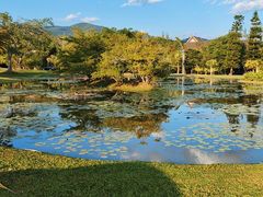 -中国科学院西双版纳热带植物园