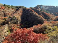 -黄花溪